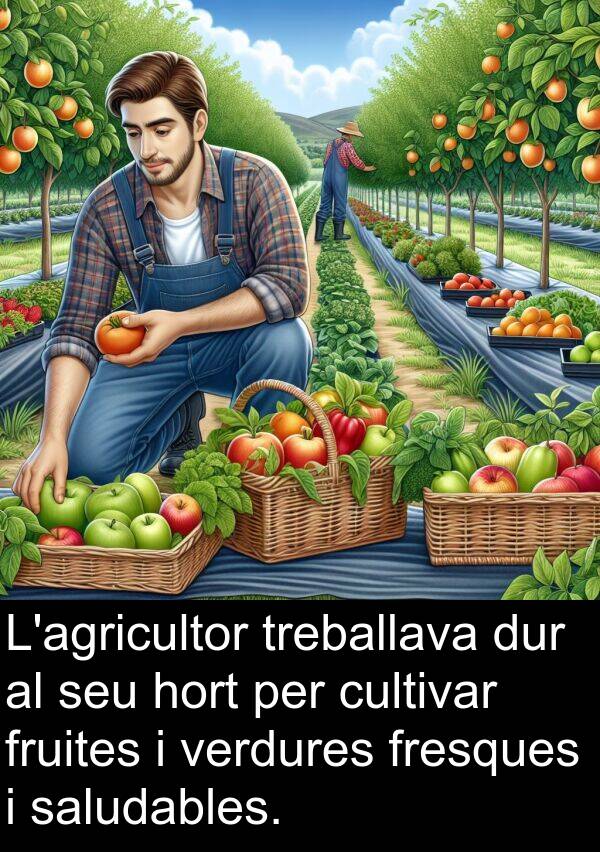 fresques: L'agricultor treballava dur al seu hort per cultivar fruites i verdures fresques i saludables.
