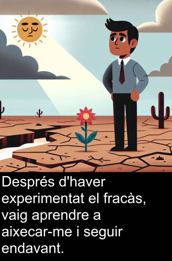 experimentat: Després d'haver experimentat el fracàs, vaig aprendre a aixecar-me i seguir endavant.