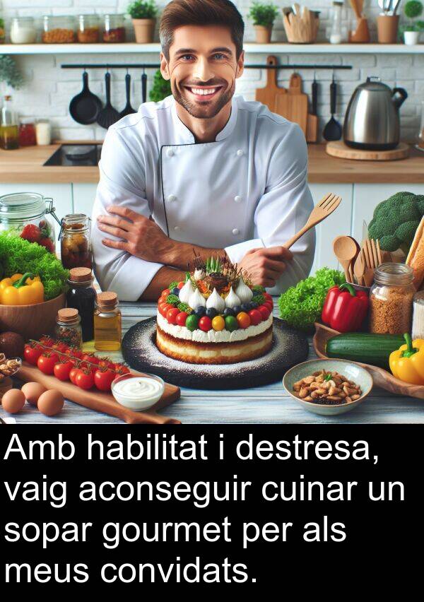 habilitat: Amb habilitat i destresa, vaig aconseguir cuinar un sopar gourmet per als meus convidats.