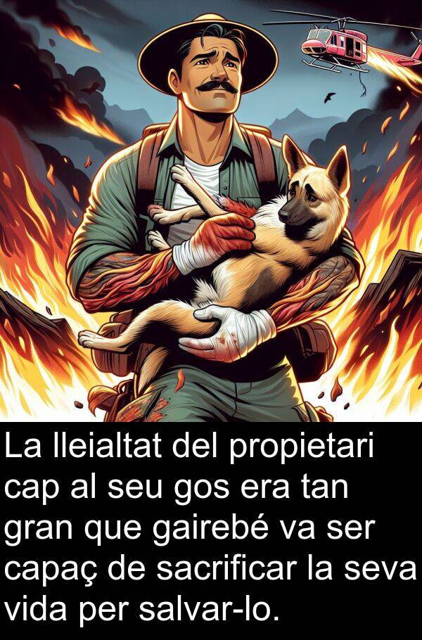 sacrificar: La lleialtat del propietari cap al seu gos era tan gran que gairebé va ser capaç de sacrificar la seva vida per salvar-lo.
