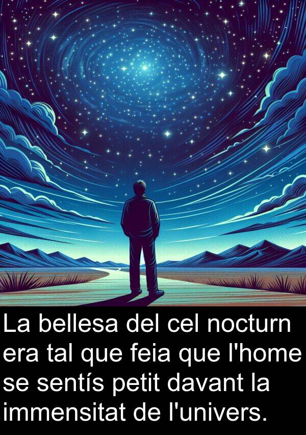 sentís: La bellesa del cel nocturn era tal que feia que l'home se sentís petit davant la immensitat de l'univers.