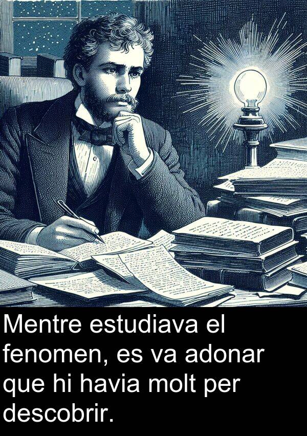 descobrir: Mentre estudiava el fenomen, es va adonar que hi havia molt per descobrir.