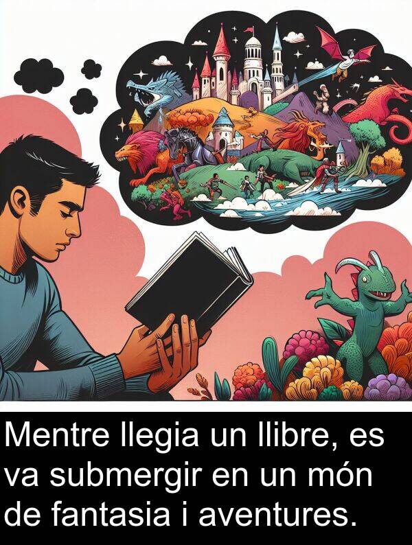 llibre: Mentre llegia un llibre, es va submergir en un món de fantasia i aventures.