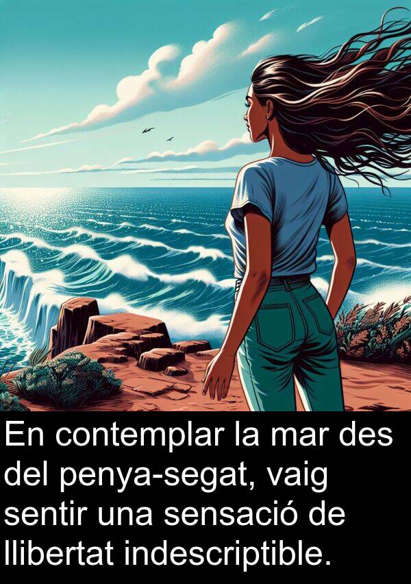 indescriptible: En contemplar la mar des del penya-segat, vaig sentir una sensació de llibertat indescriptible.