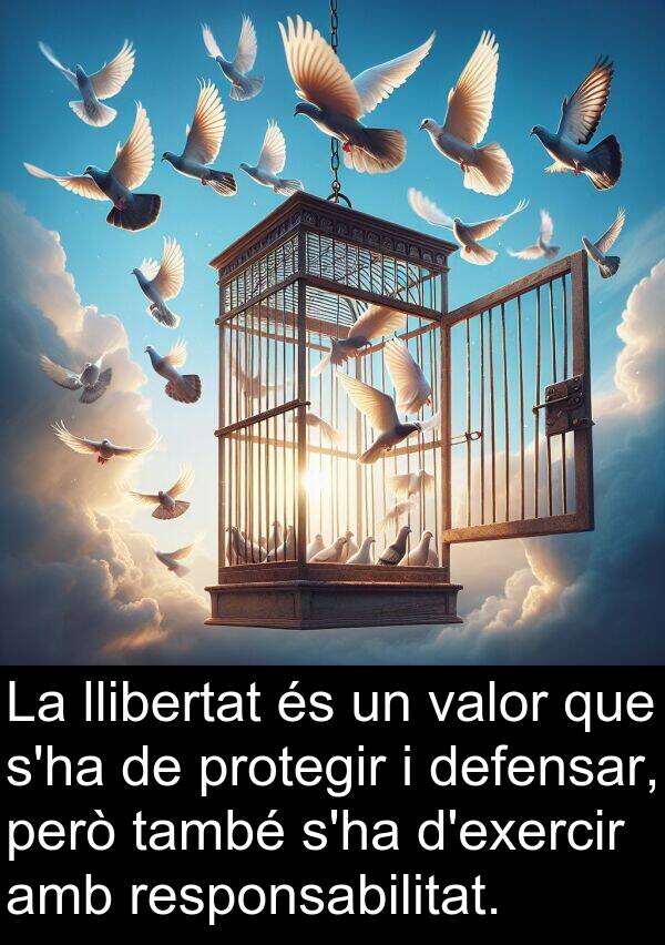llibertat: La llibertat és un valor que s'ha de protegir i defensar, però també s'ha d'exercir amb responsabilitat.