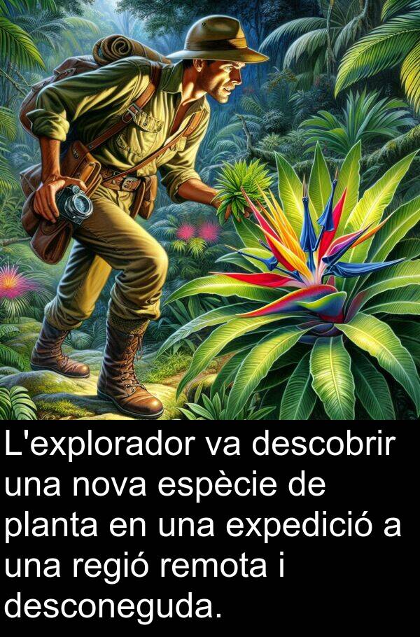 descobrir: L'explorador va descobrir una nova espècie de planta en una expedició a una regió remota i desconeguda.