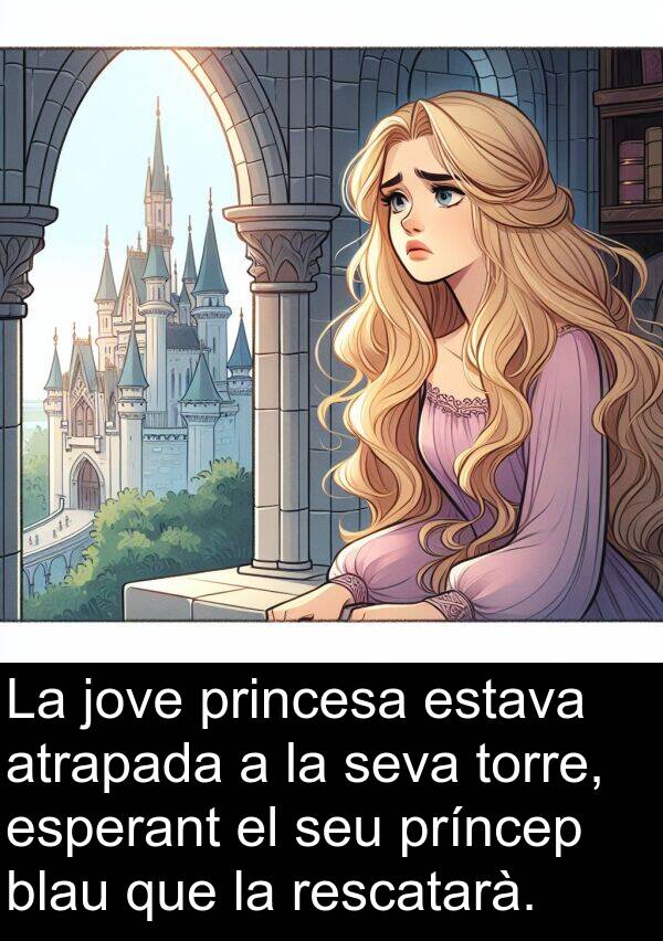 jove: La jove princesa estava atrapada a la seva torre, esperant el seu príncep blau que la rescatarà.
