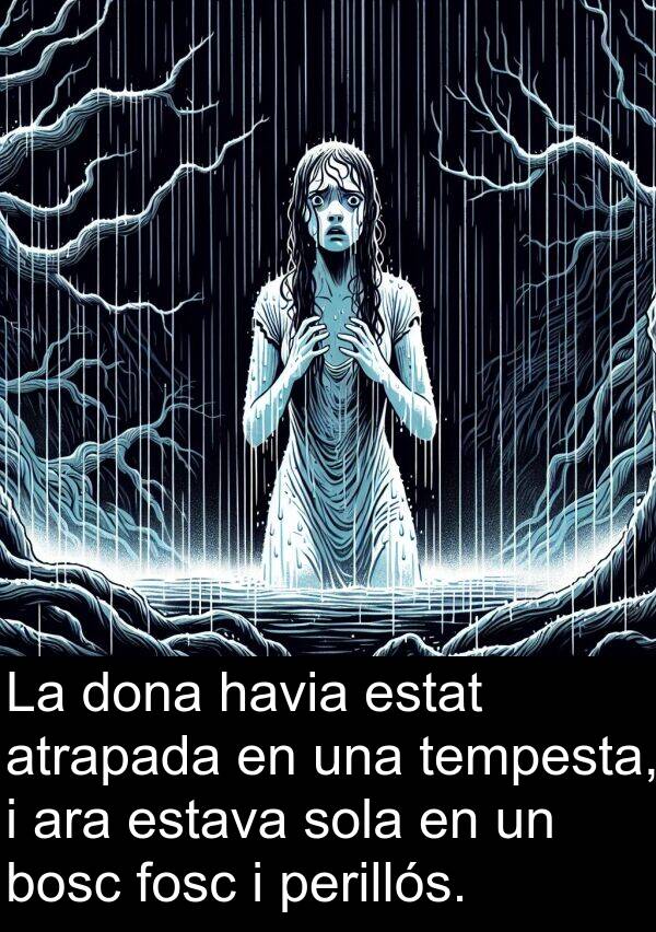 tempesta: La dona havia estat atrapada en una tempesta, i ara estava sola en un bosc fosc i perillós.