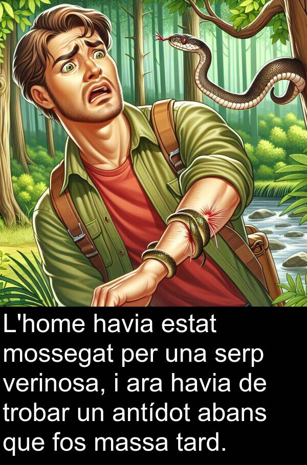 tard: L'home havia estat mossegat per una serp verinosa, i ara havia de trobar un antídot abans que fos massa tard.