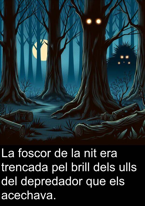 brill: La foscor de la nit era trencada pel brill dels ulls del depredador que els acechava.