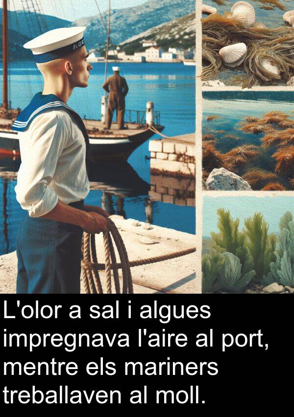 impregnava: L'olor a sal i algues impregnava l'aire al port, mentre els mariners treballaven al moll.