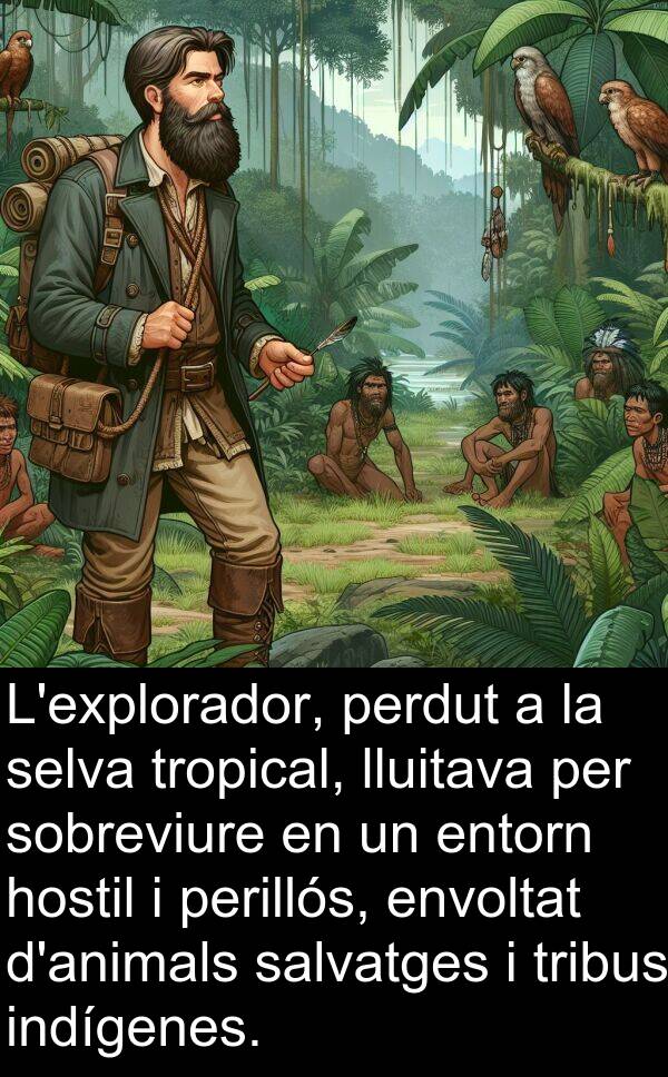 tropical: L'explorador, perdut a la selva tropical, lluitava per sobreviure en un entorn hostil i perillós, envoltat d'animals salvatges i tribus indígenes.