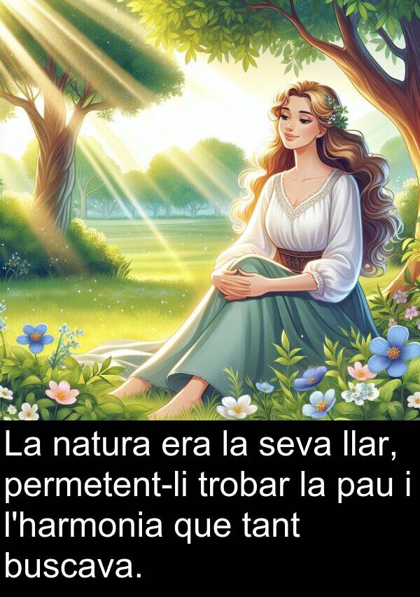 pau: La natura era la seva llar, permetent-li trobar la pau i l'harmonia que tant buscava.