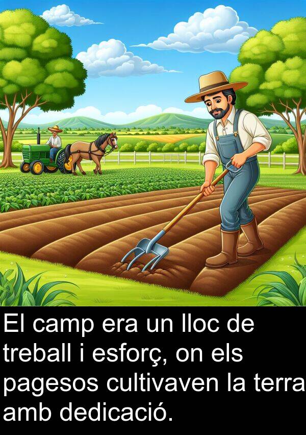 treball: El camp era un lloc de treball i esforç, on els pagesos cultivaven la terra amb dedicació.