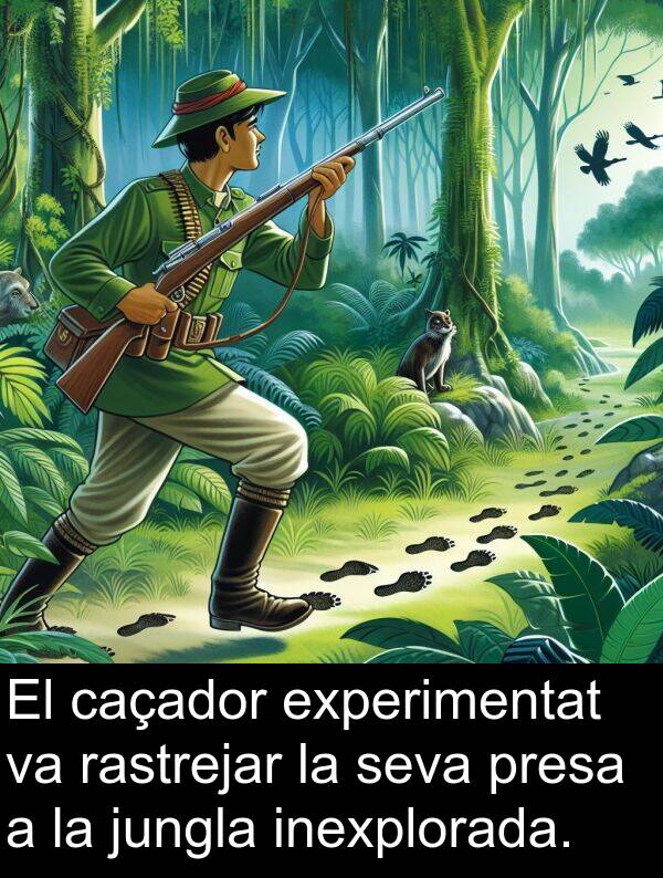 experimentat: El caçador experimentat va rastrejar la seva presa a la jungla inexplorada.