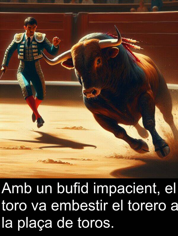 embestir: Amb un bufid impacient, el toro va embestir el torero a la plaça de toros.