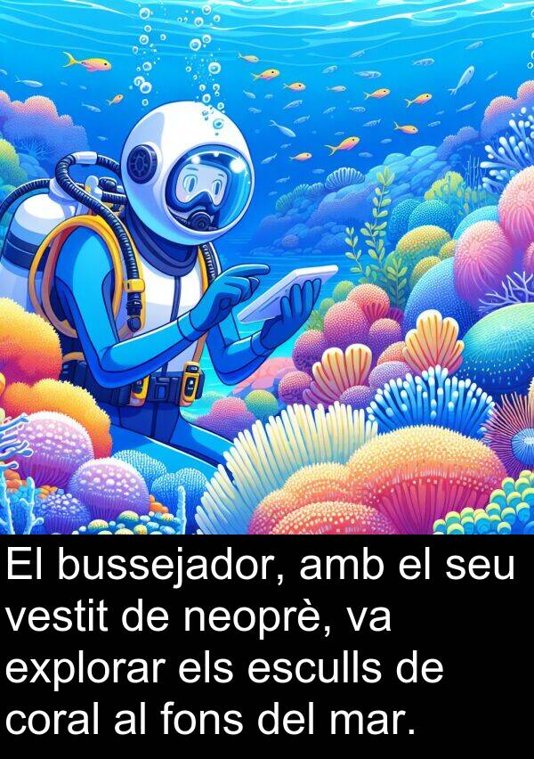 neoprè: El bussejador, amb el seu vestit de neoprè, va explorar els esculls de coral al fons del mar.
