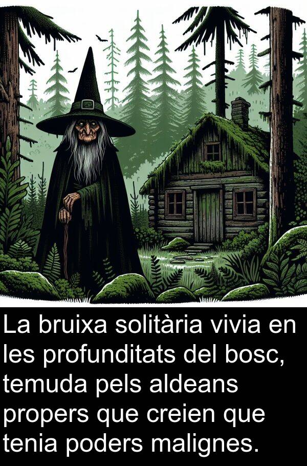 malignes: La bruixa solitària vivia en les profunditats del bosc, temuda pels aldeans propers que creien que tenia poders malignes.