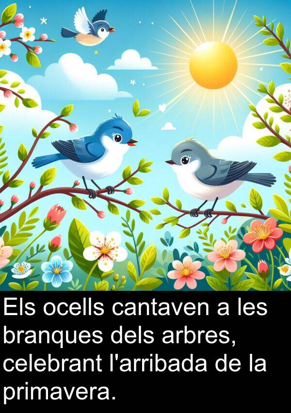 cantaven: Els ocells cantaven a les branques dels arbres, celebrant l'arribada de la primavera.