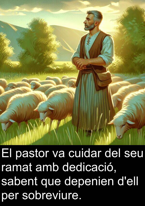 dedicació: El pastor va cuidar del seu ramat amb dedicació, sabent que depenien d'ell per sobreviure.
