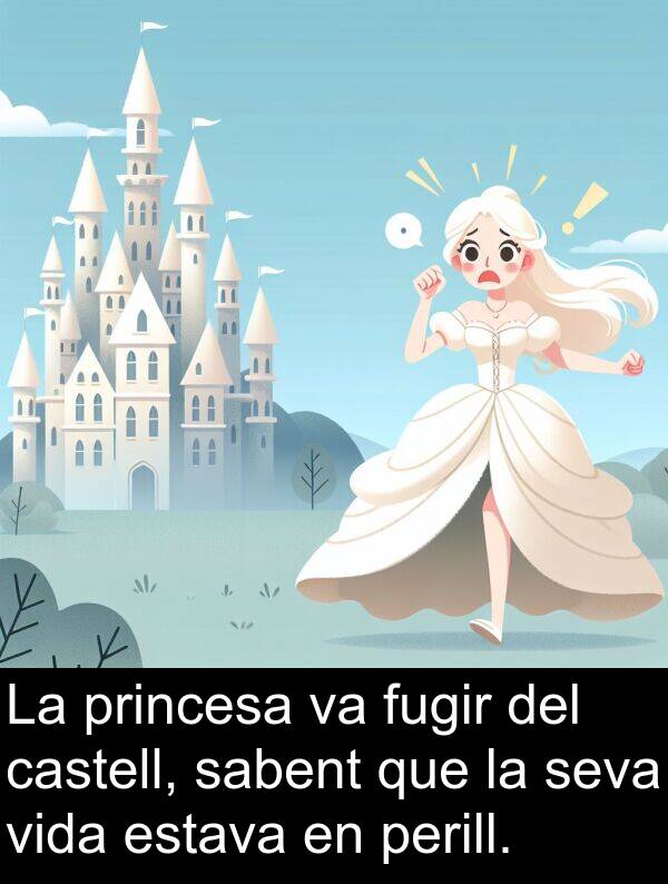castell: La princesa va fugir del castell, sabent que la seva vida estava en perill.