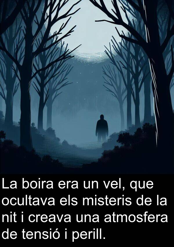 tensió: La boira era un vel, que ocultava els misteris de la nit i creava una atmosfera de tensió i perill.