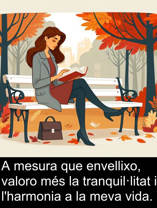 mesura: A mesura que envellixo, valoro més la tranquil·litat i l'harmonia a la meva vida.