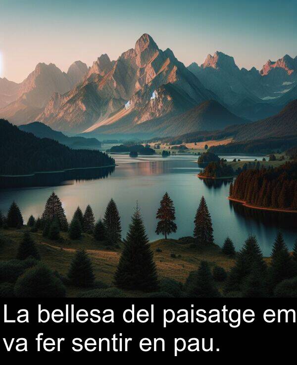 pau: La bellesa del paisatge em va fer sentir en pau.