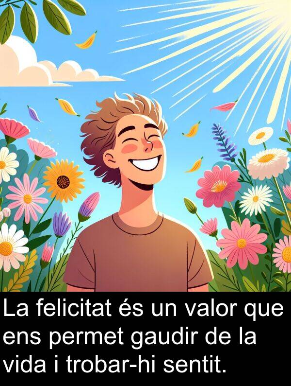 felicitat: La felicitat és un valor que ens permet gaudir de la vida i trobar-hi sentit.