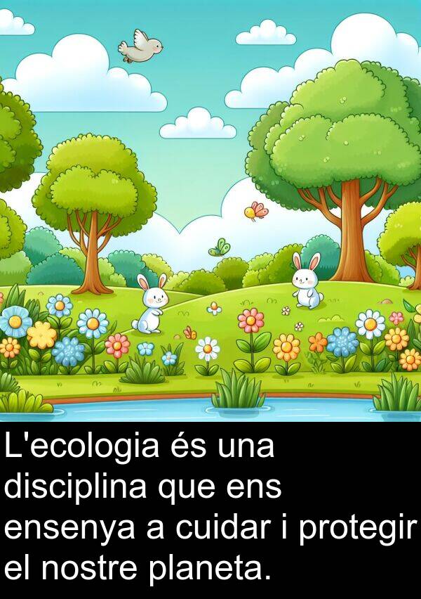 disciplina: L'ecologia és una disciplina que ens ensenya a cuidar i protegir el nostre planeta.