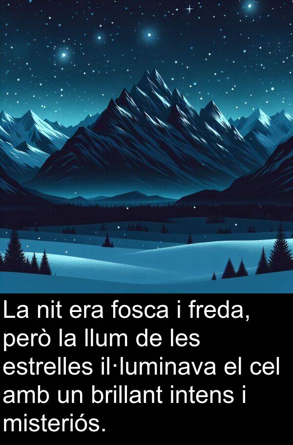 freda: La nit era fosca i freda, però la llum de les estrelles il·luminava el cel amb un brillant intens i misteriós.