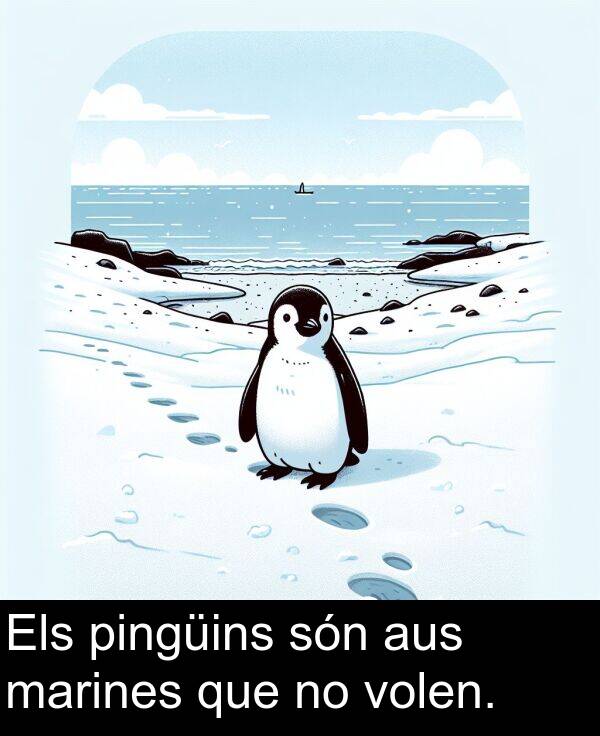 pingüins: Els pingüins són aus marines que no volen.