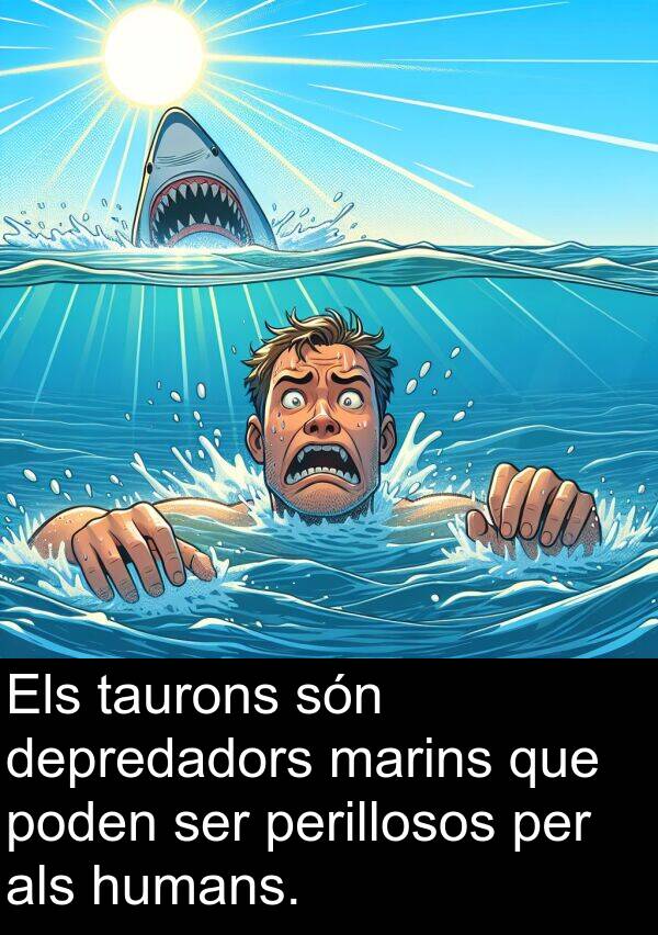 poden: Els taurons són depredadors marins que poden ser perillosos per als humans.