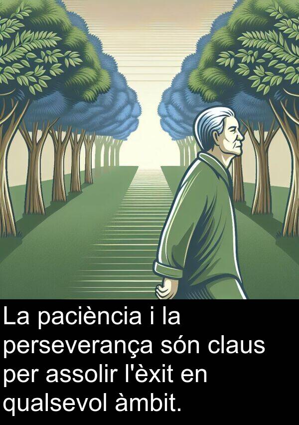 paciència: La paciència i la perseverança són claus per assolir l'èxit en qualsevol àmbit.