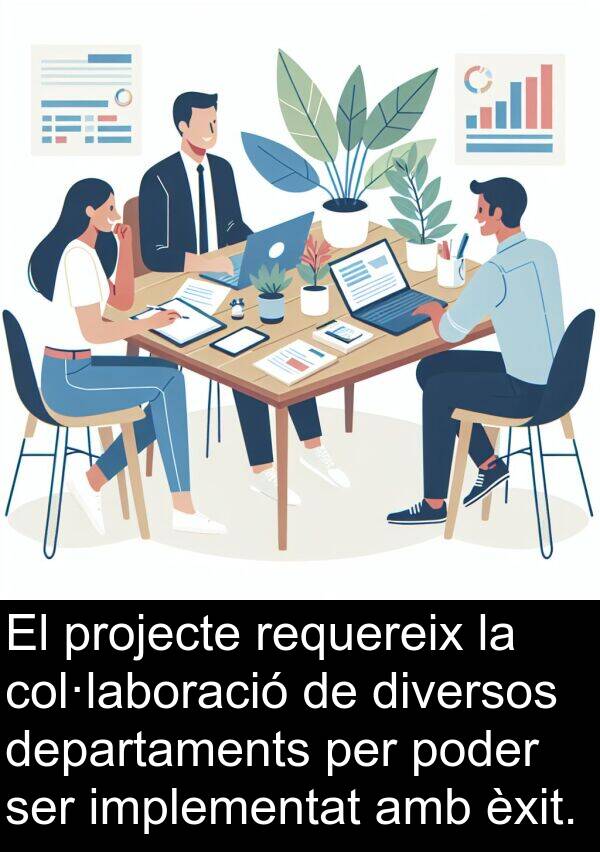 diversos: El projecte requereix la col·laboració de diversos departaments per poder ser implementat amb èxit.