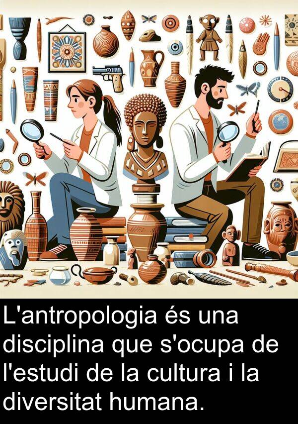 disciplina: L'antropologia és una disciplina que s'ocupa de l'estudi de la cultura i la diversitat humana.
