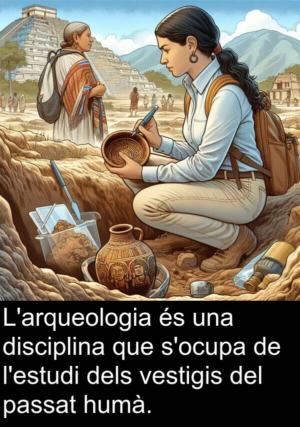 disciplina: L'arqueologia és una disciplina que s'ocupa de l'estudi dels vestigis del passat humà.