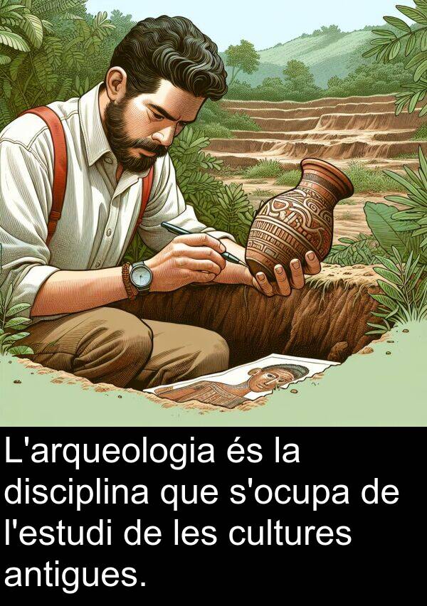 cultures: L'arqueologia és la disciplina que s'ocupa de l'estudi de les cultures antigues.