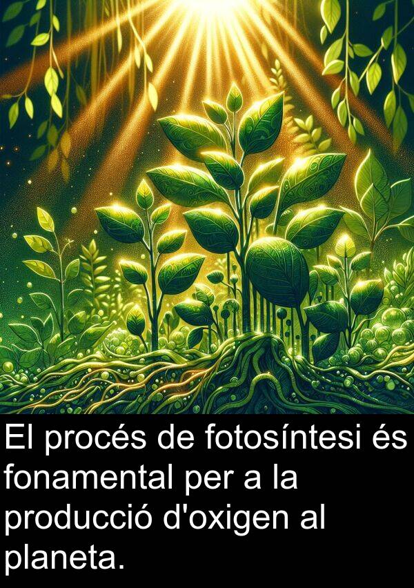 procés: El procés de fotosíntesi és fonamental per a la producció d'oxigen al planeta.