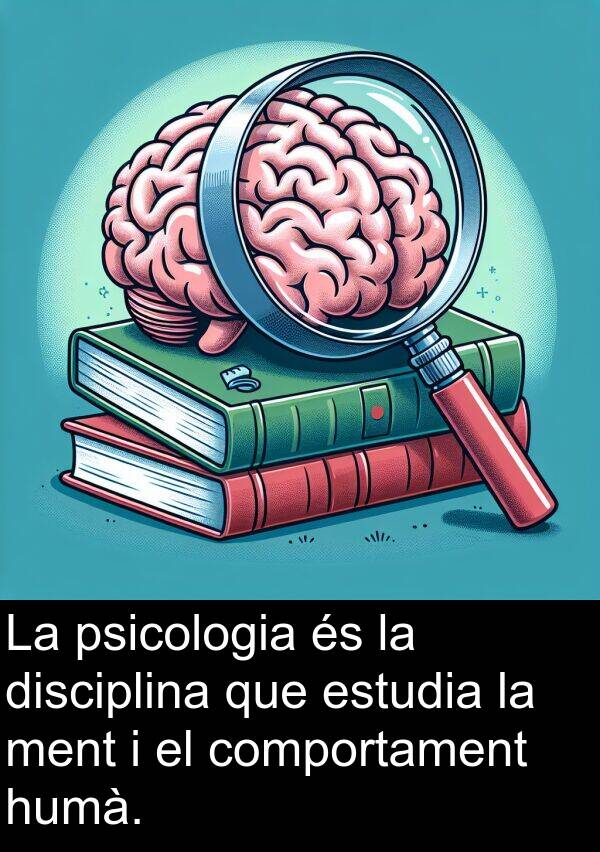 disciplina: La psicologia és la disciplina que estudia la ment i el comportament humà.