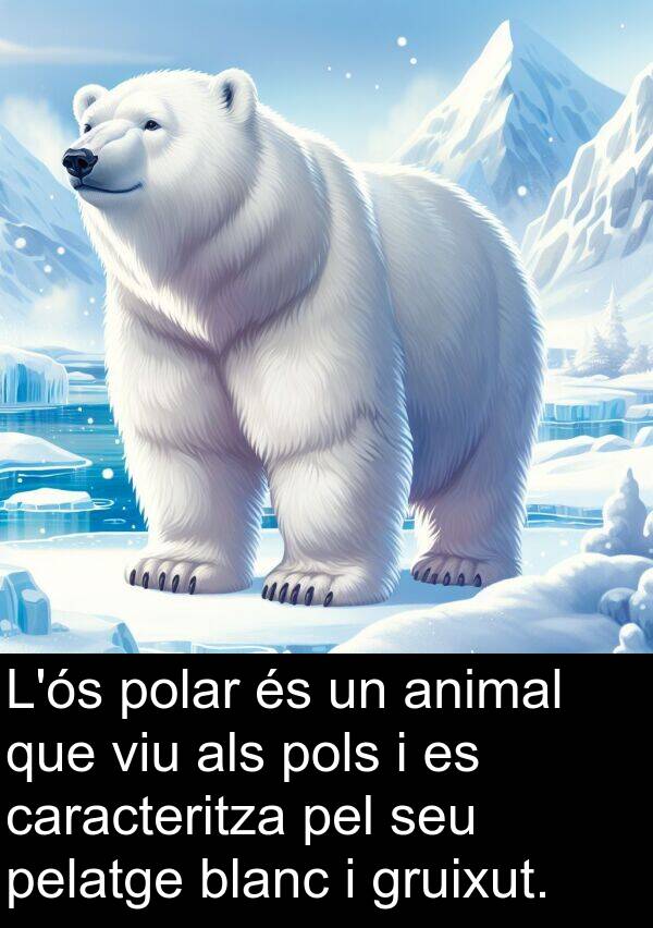 polar: L'ós polar és un animal que viu als pols i es caracteritza pel seu pelatge blanc i gruixut.