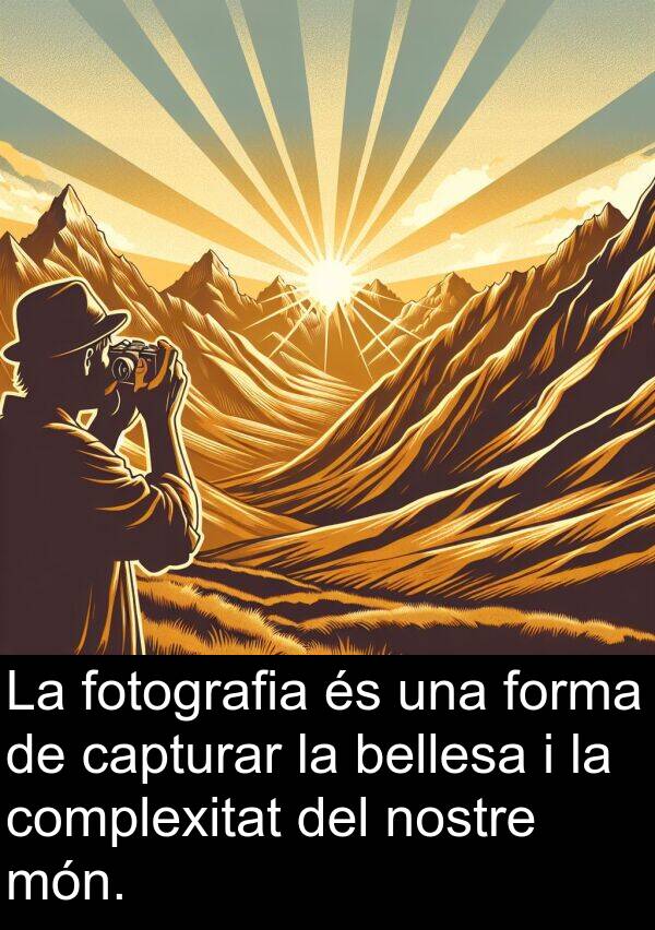 forma: La fotografia és una forma de capturar la bellesa i la complexitat del nostre món.