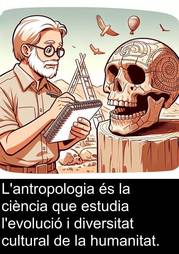 cultural: L'antropologia és la ciència que estudia l'evolució i diversitat cultural de la humanitat.