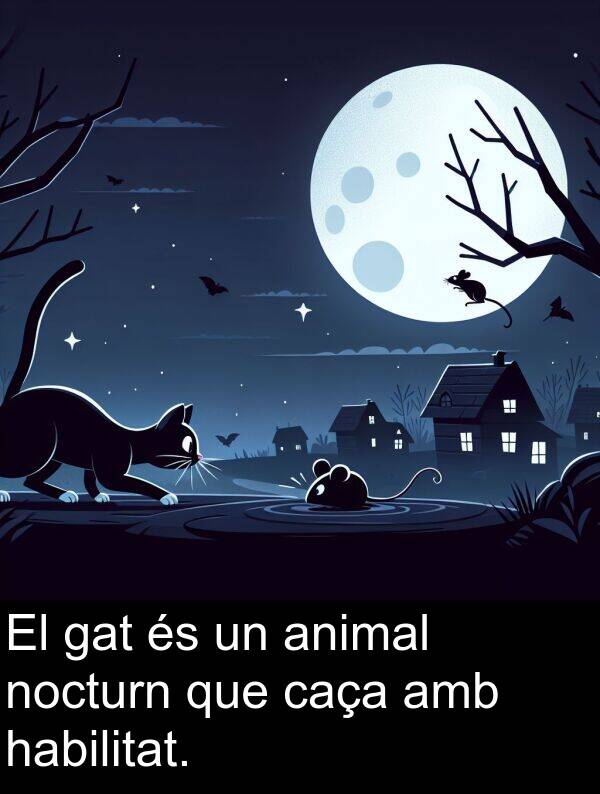 habilitat: El gat és un animal nocturn que caça amb habilitat.