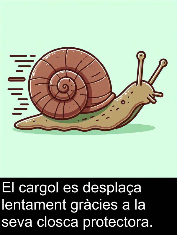 cargol: El cargol es desplaça lentament gràcies a la seva closca protectora.