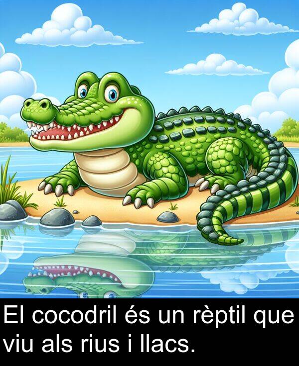 rèptil: El cocodril és un rèptil que viu als rius i llacs.