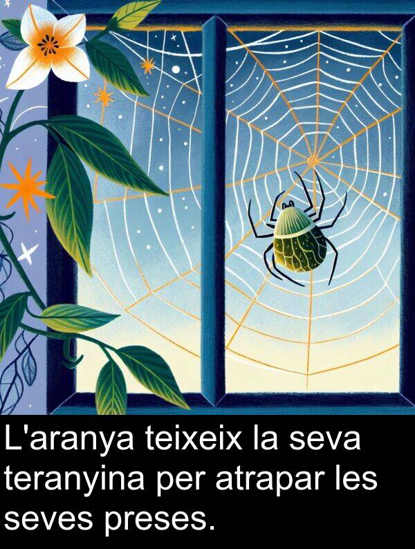 teranyina: L'aranya teixeix la seva teranyina per atrapar les seves preses.