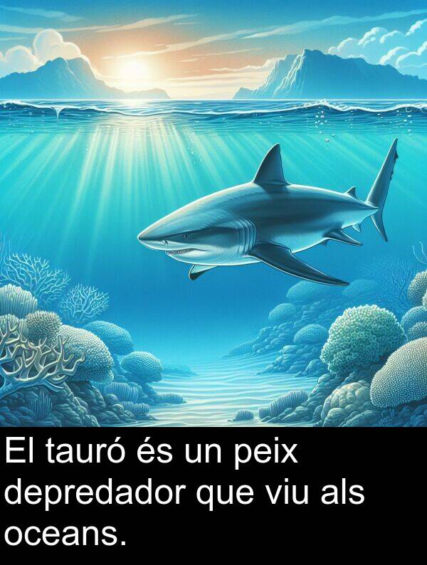 depredador: El tauró és un peix depredador que viu als oceans.