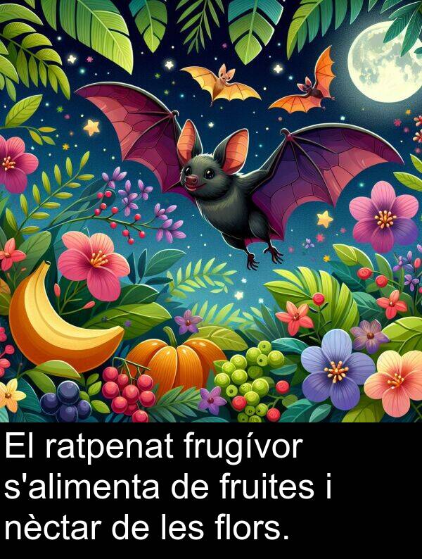 nèctar: El ratpenat frugívor s'alimenta de fruites i nèctar de les flors.