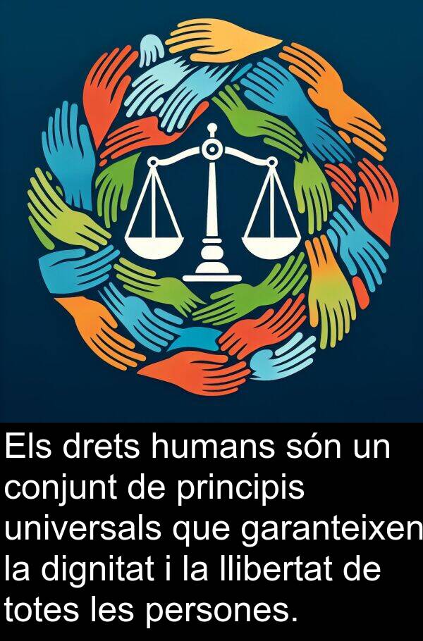 llibertat: Els drets humans són un conjunt de principis universals que garanteixen la dignitat i la llibertat de totes les persones.